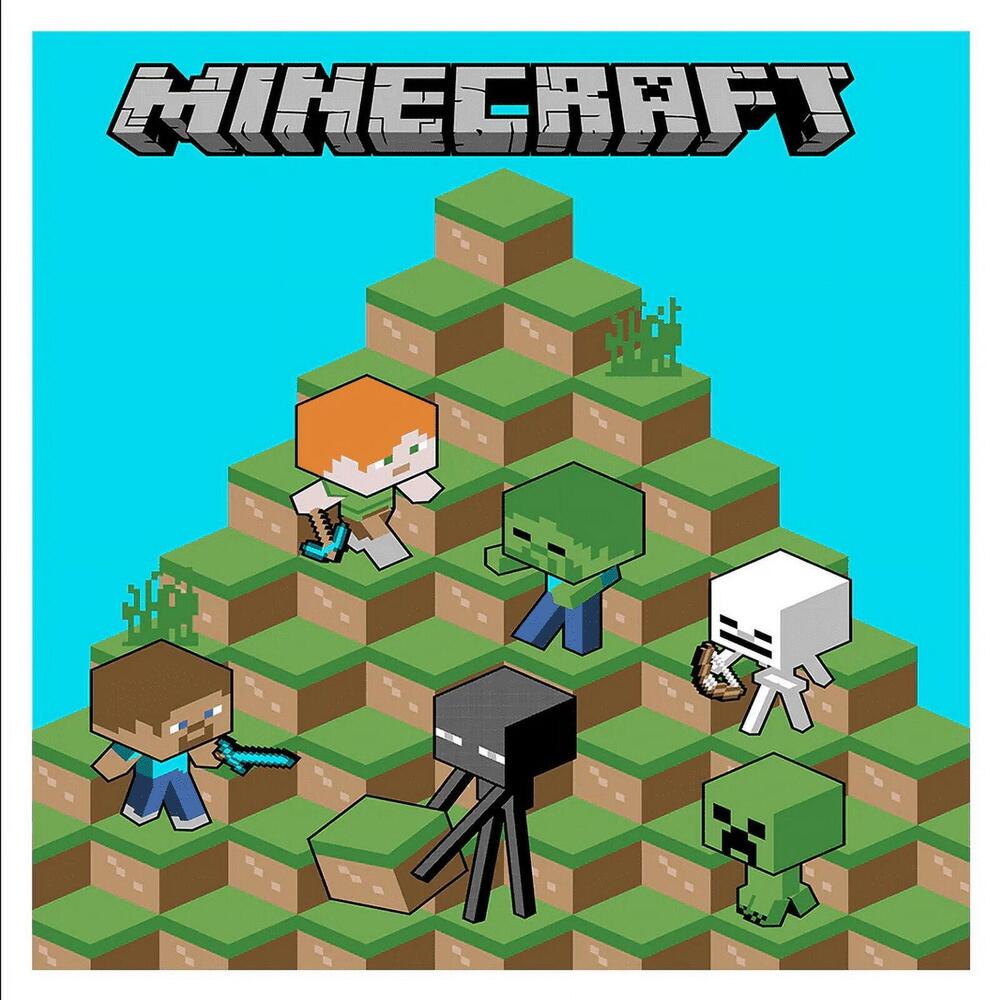 Minecraft Blocks Raschel Blanket Twin /Full Size